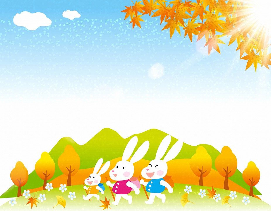 Detail Background Kelinci Nomer 2