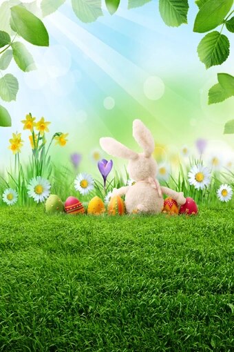 Detail Background Kelinci Nomer 46