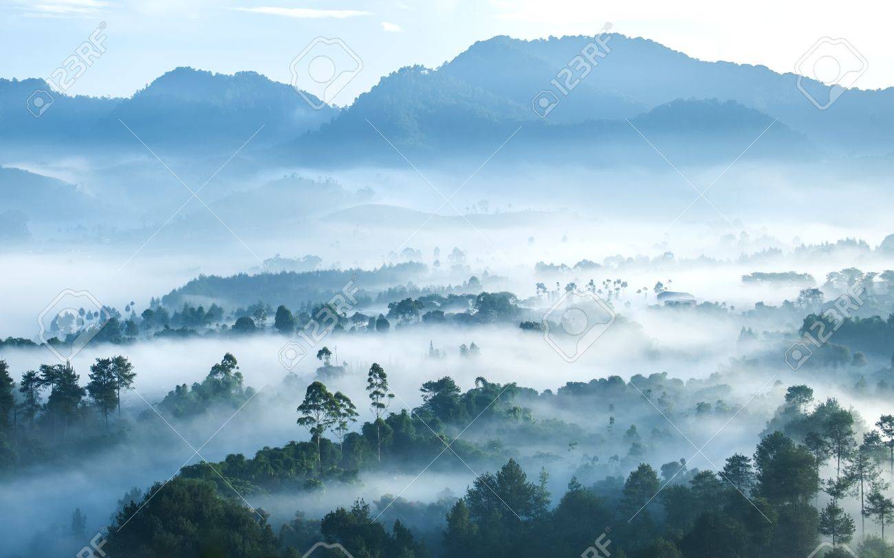 Detail Background Keraton Nomer 22