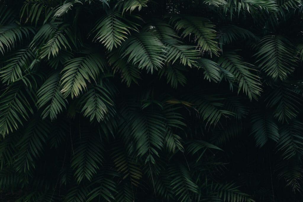 Detail Background Keren Nomer 38