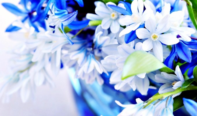 Detail Background Keren Bunga Nomer 26