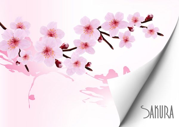 Detail Background Keren Bunga Nomer 32
