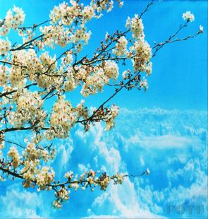 Detail Background Keren Bunga Nomer 39