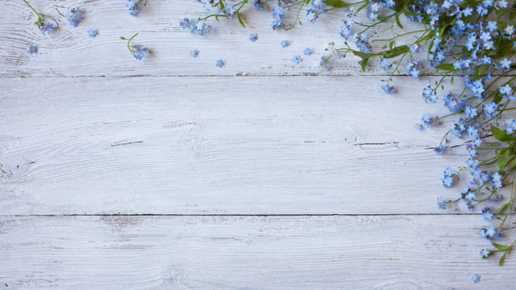 Detail Background Keren Bunga Nomer 43