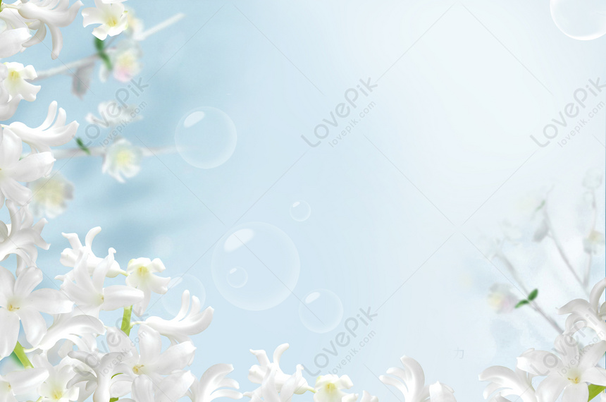 Detail Background Keren Bunga Nomer 6
