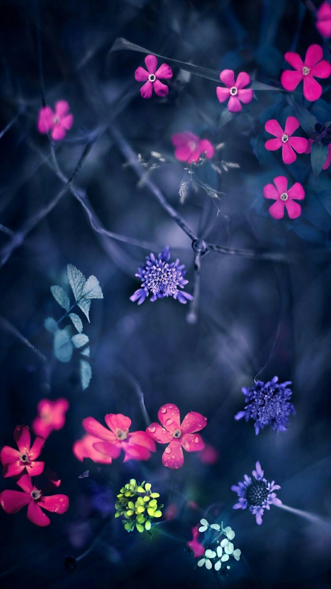 Detail Background Keren Bunga Nomer 8