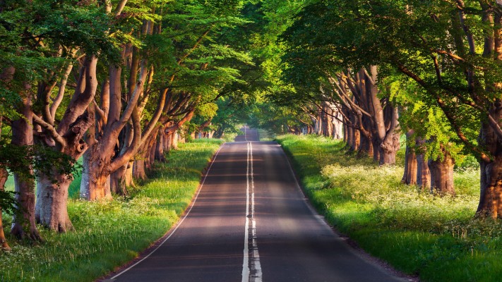 Detail Background Keren Hd Untuk Edit Foto Nomer 4