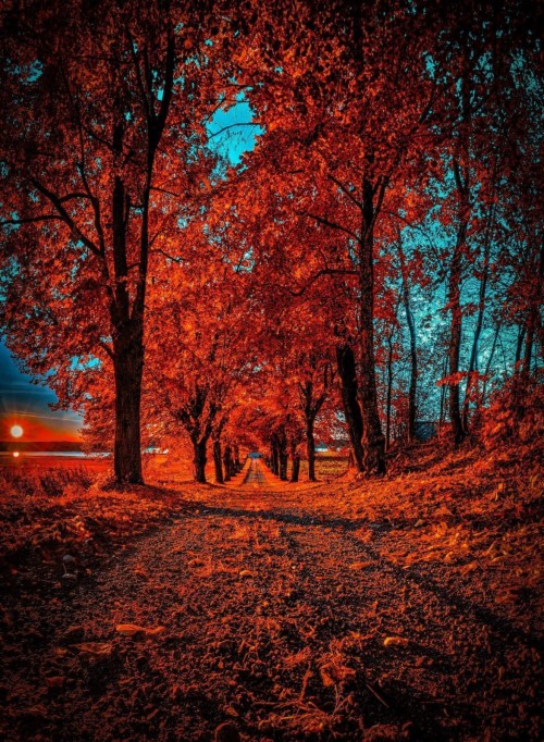 Detail Background Keren Hd Untuk Edit Foto Nomer 50