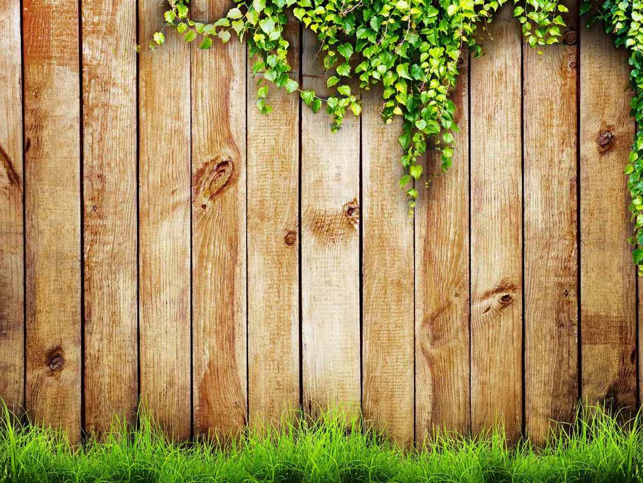 Detail Background Keren Kayu Nomer 17