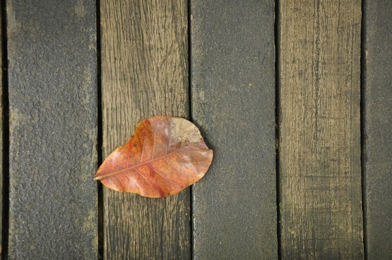 Detail Background Keren Kayu Nomer 53