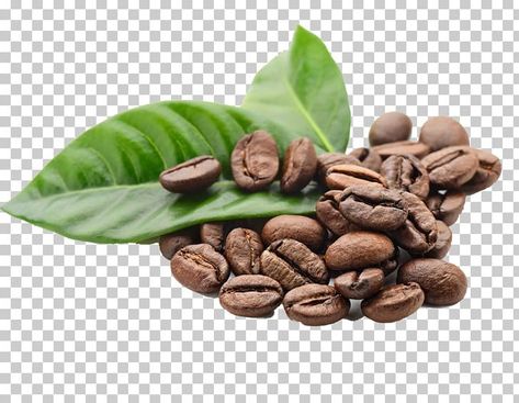 Detail Background Kopi Png Nomer 42