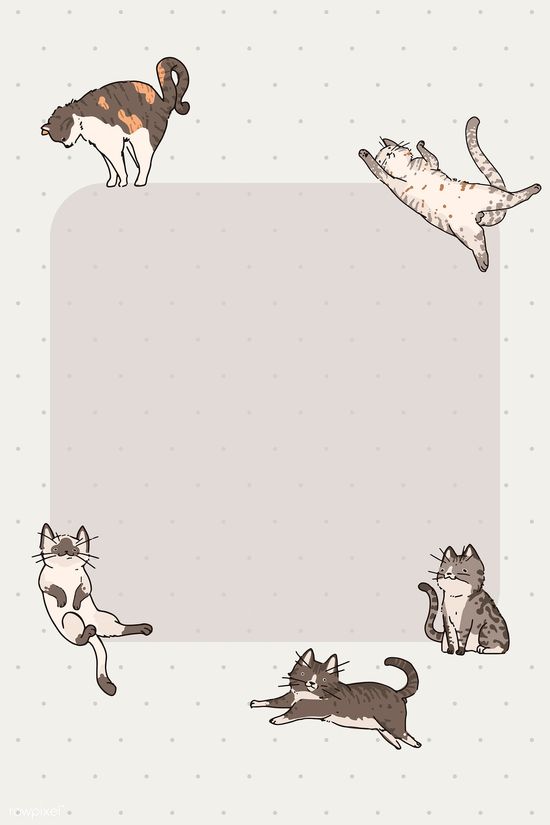 Background Kucing - KibrisPDR