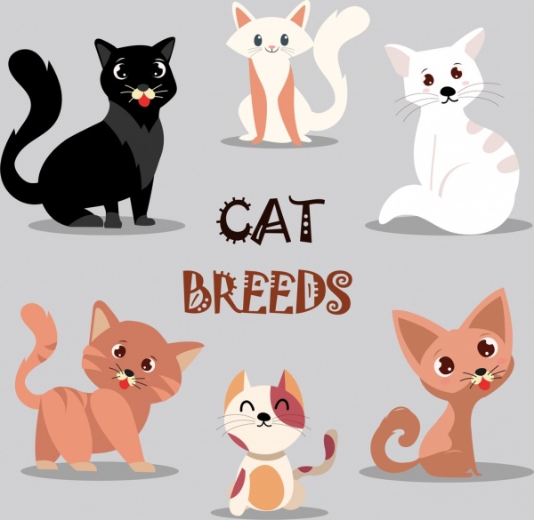 Detail Background Kucing Lucu Nomer 36