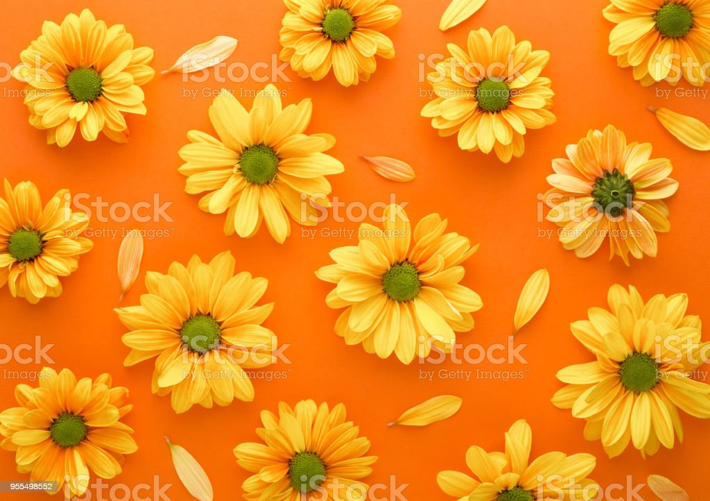 Detail Background Kuning Bunga Nomer 27