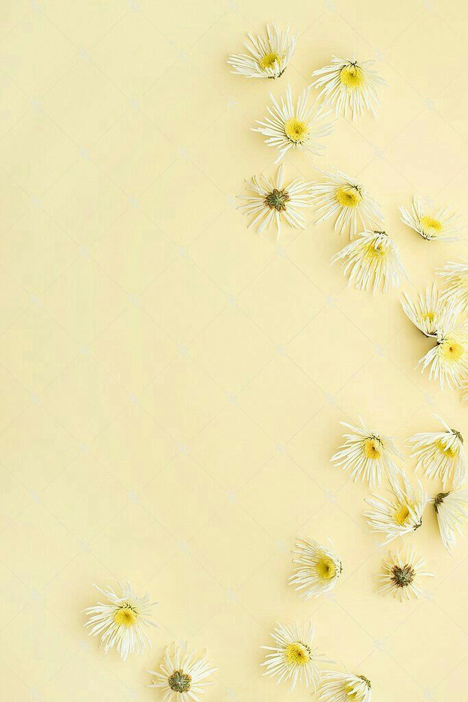 Detail Background Kuning Soft Nomer 15