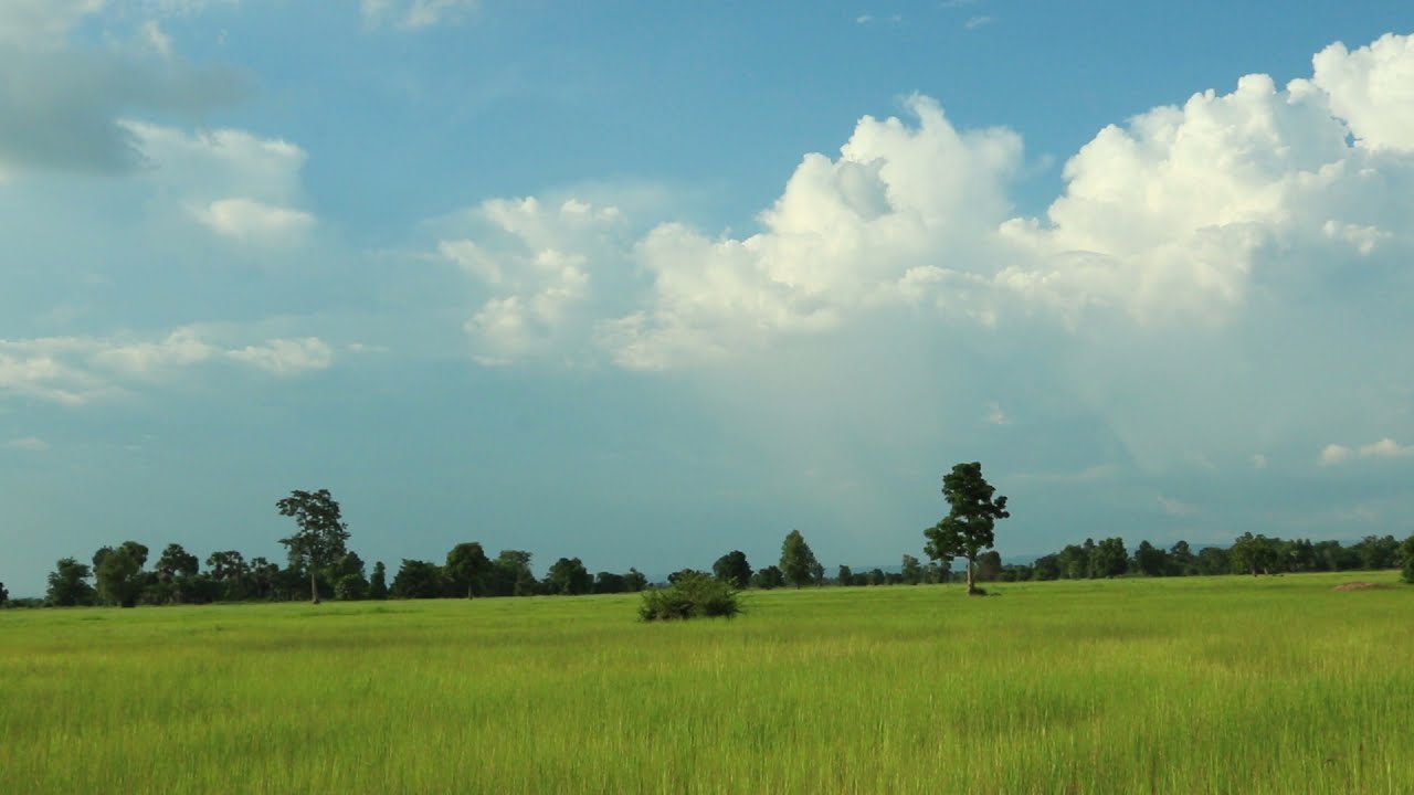 Detail Background Ladang Nomer 56