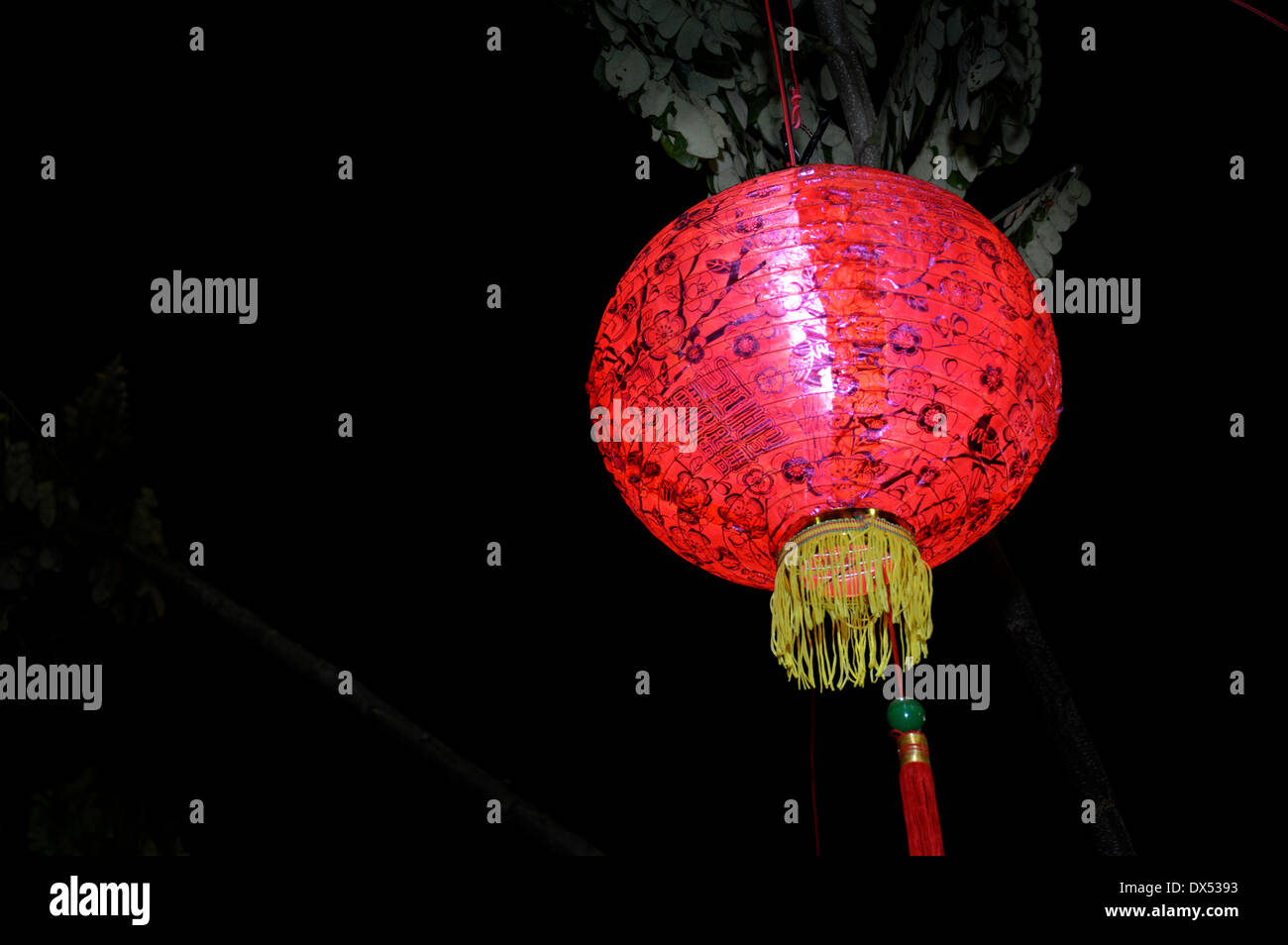 Detail Background Lampion Nomer 17