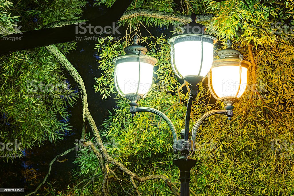 Detail Background Lampu Jalan Nomer 39