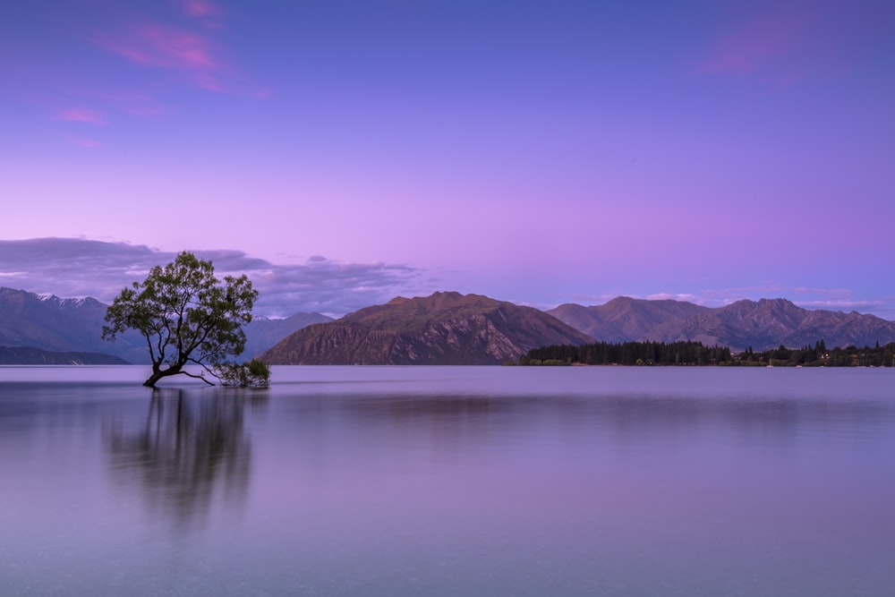 Detail Background Landscape Nomer 4