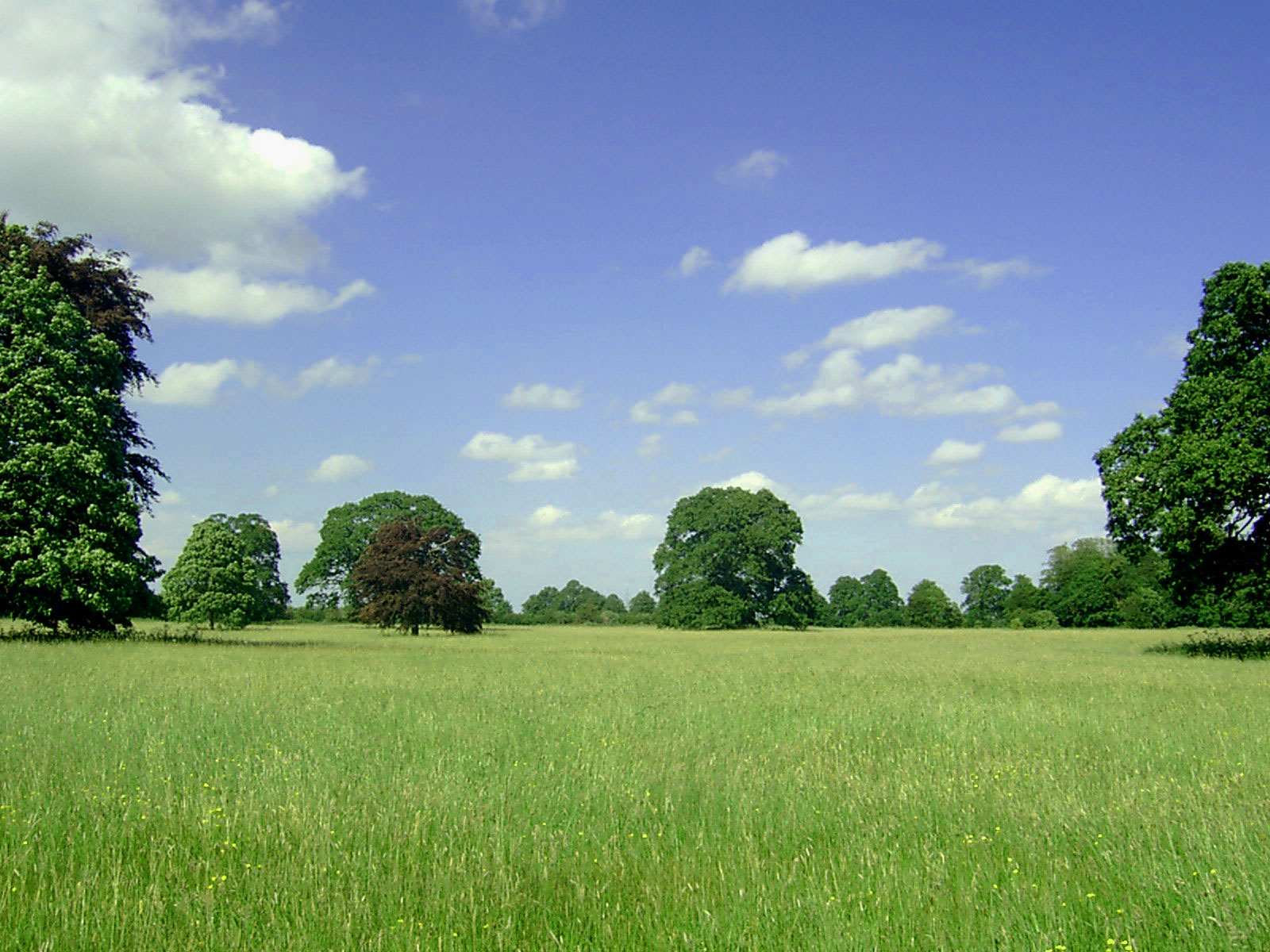 Detail Background Landscape Nomer 40
