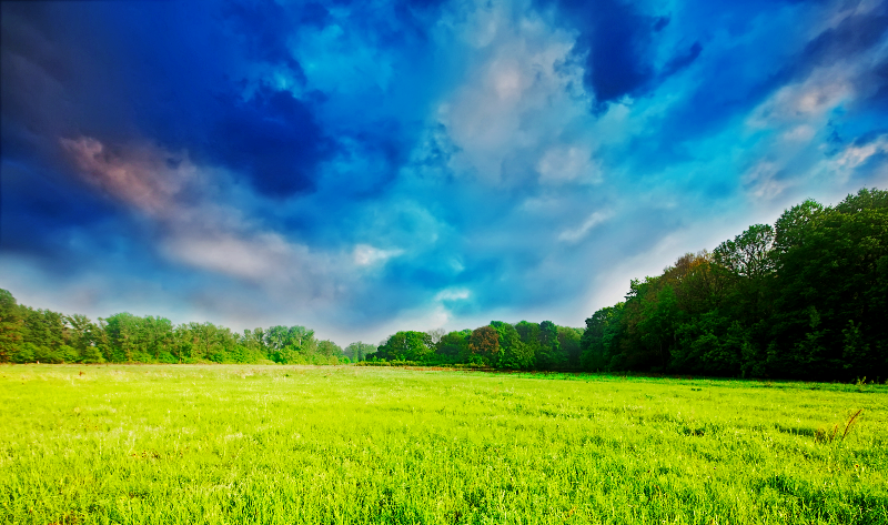 Background Langit Dan Rumput - KibrisPDR