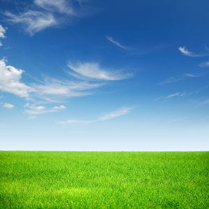 Detail Background Langit Dan Rumput Nomer 9