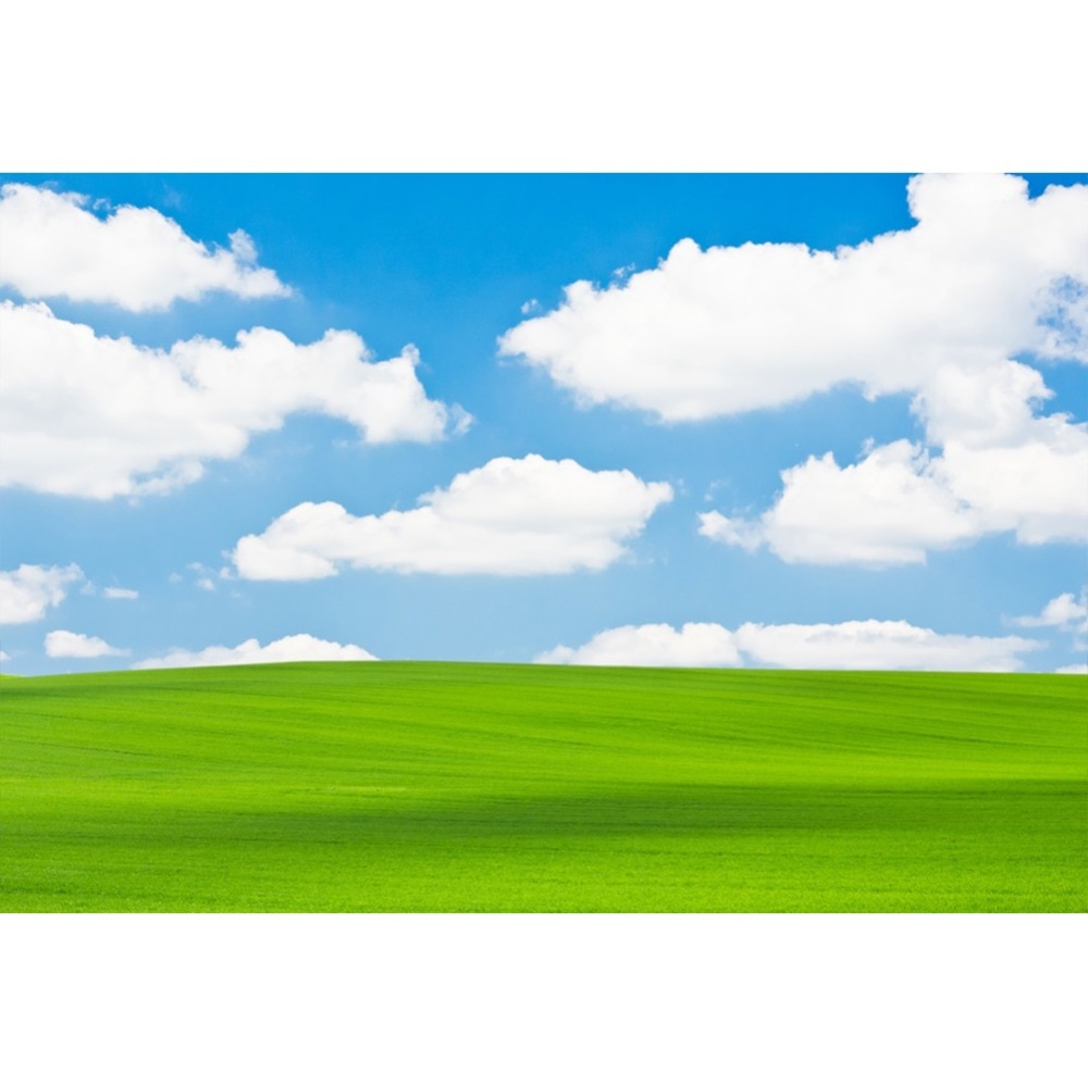 Detail Background Langit Dan Rumput Nomer 10