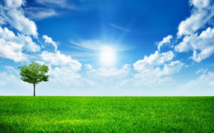 Detail Background Langit Dan Rumput Nomer 13