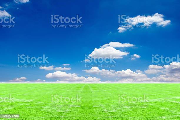 Detail Background Langit Dan Rumput Nomer 20