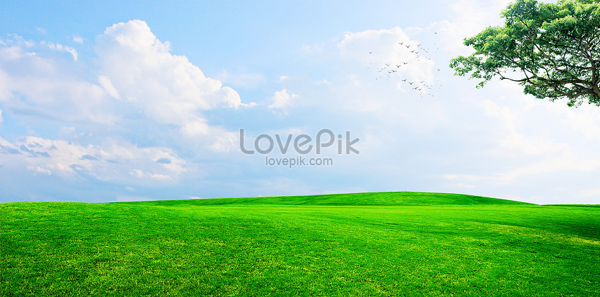 Detail Background Langit Dan Rumput Nomer 21