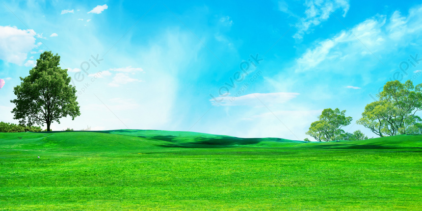 Detail Background Langit Dan Rumput Nomer 24