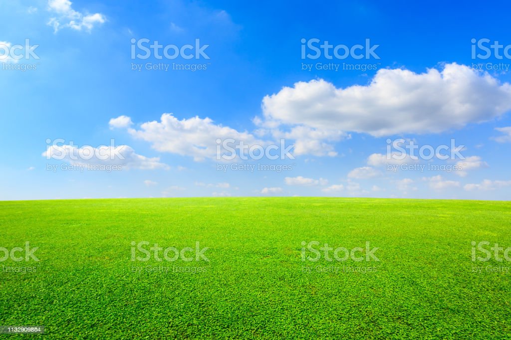 Detail Background Langit Dan Rumput Nomer 25