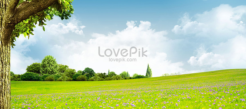Detail Background Langit Dan Rumput Nomer 26