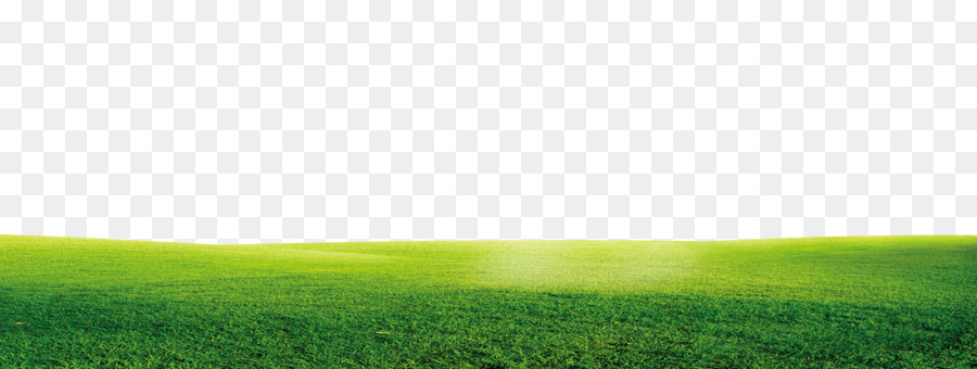 Detail Background Langit Dan Rumput Nomer 27