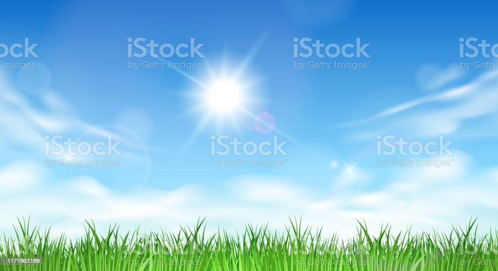 Detail Background Langit Dan Rumput Nomer 28