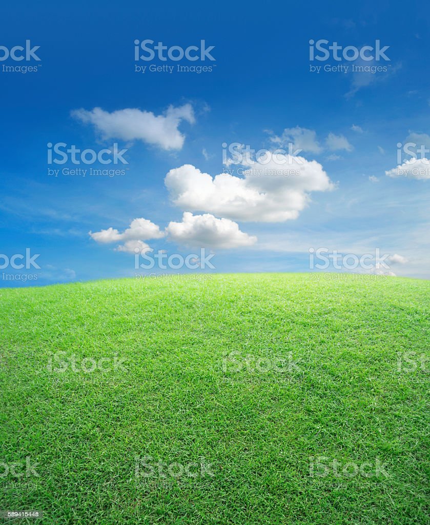 Detail Background Langit Dan Rumput Nomer 29
