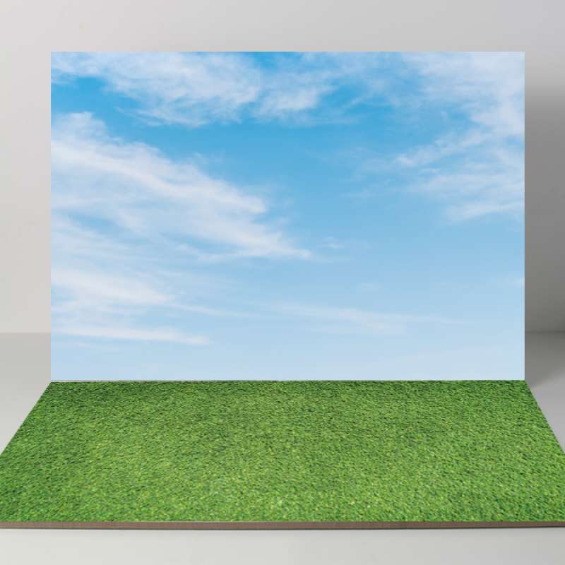 Detail Background Langit Dan Rumput Nomer 33