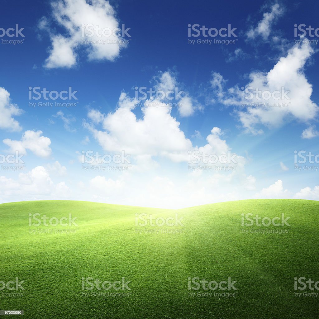Detail Background Langit Dan Rumput Nomer 5