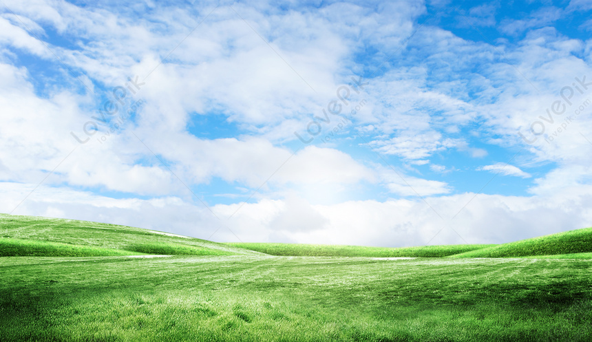 Detail Background Langit Dan Rumput Nomer 37