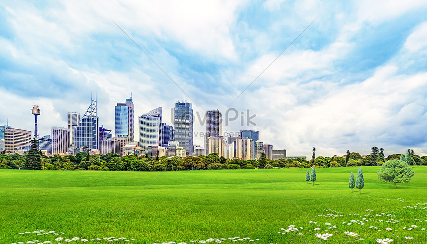 Detail Background Langit Dan Rumput Nomer 38