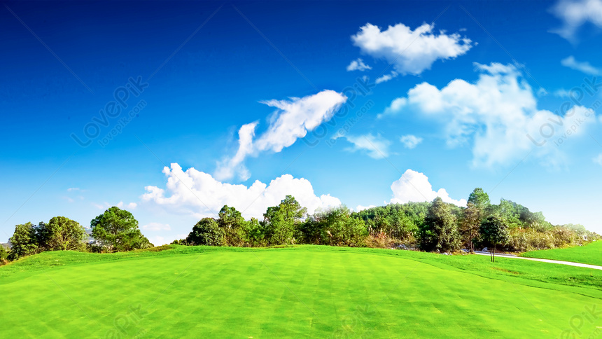 Detail Background Langit Dan Rumput Nomer 39