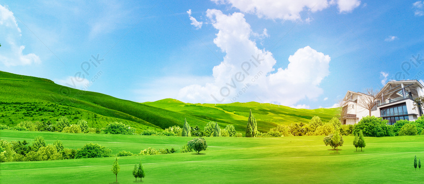 Detail Background Langit Dan Rumput Nomer 44