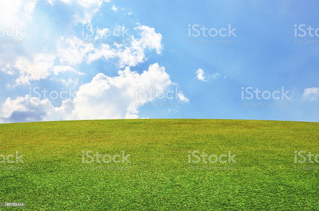 Detail Background Langit Dan Rumput Nomer 45