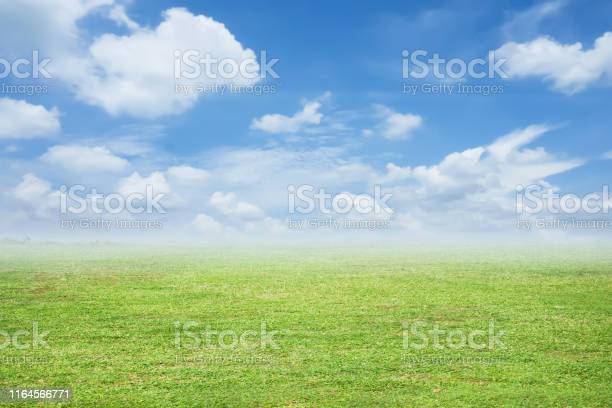 Detail Background Langit Dan Rumput Nomer 47