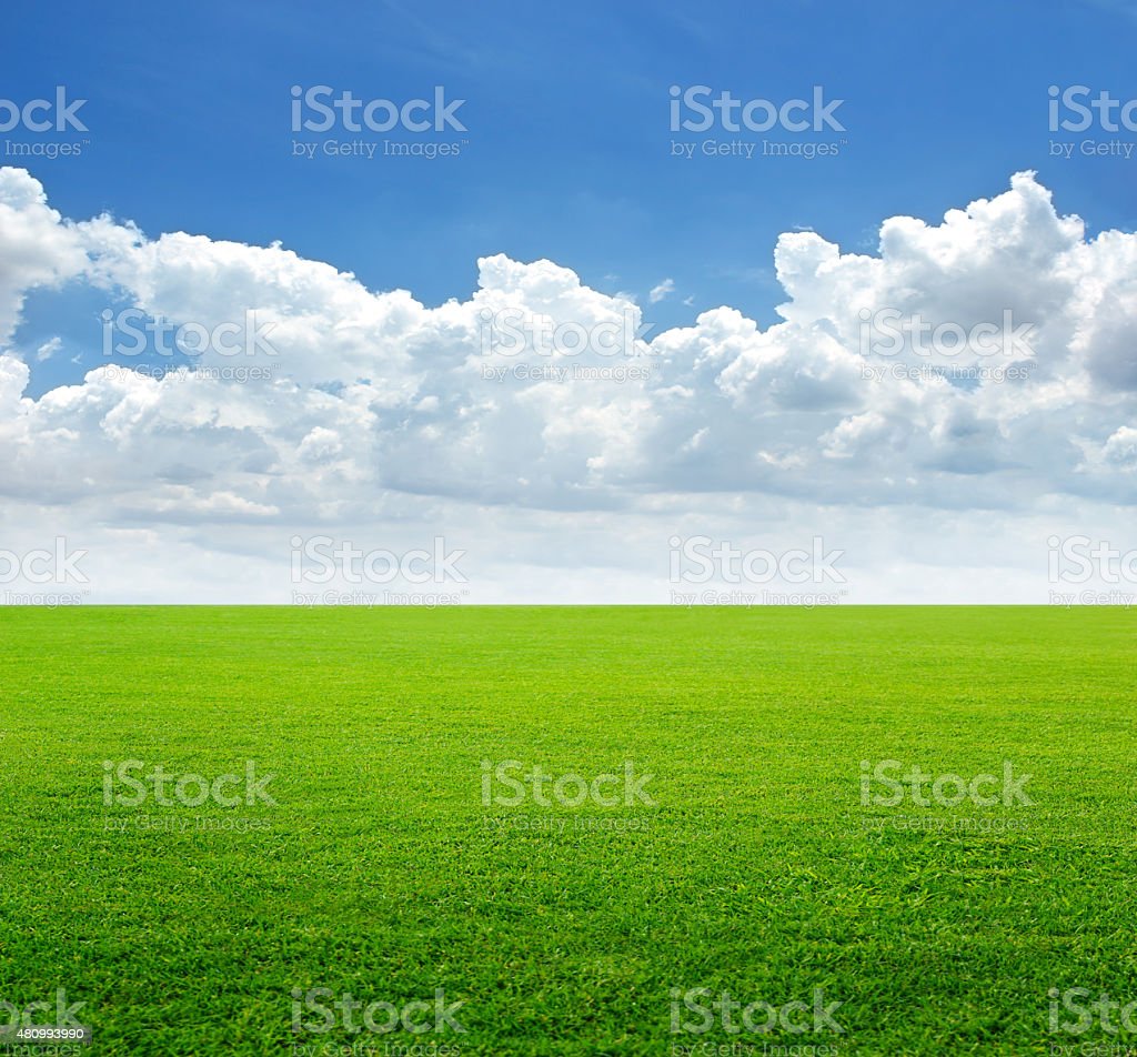 Detail Background Langit Dan Rumput Nomer 48