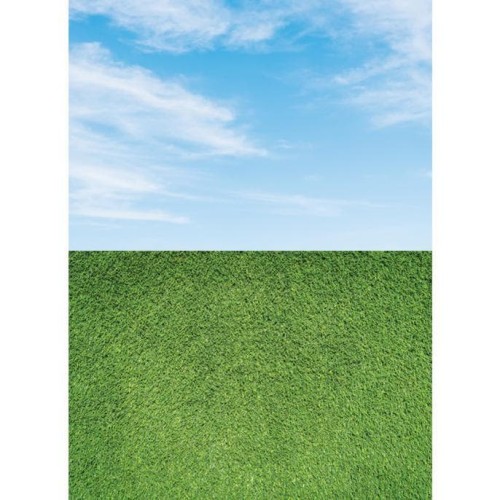 Detail Background Langit Dan Rumput Nomer 49