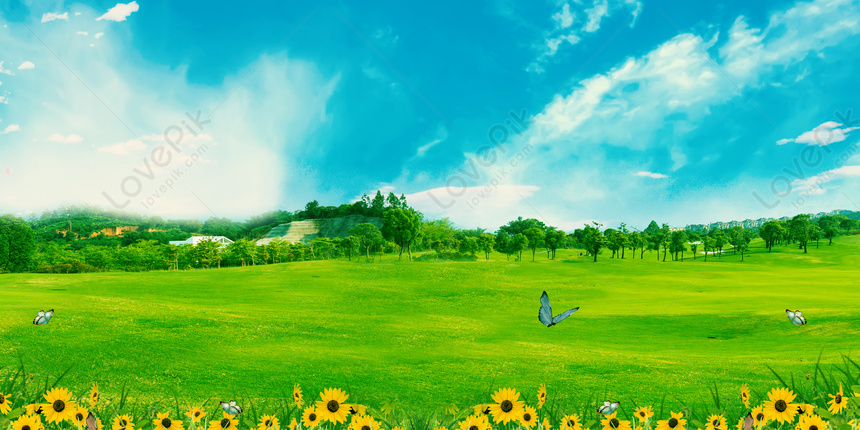Detail Background Langit Dan Rumput Nomer 51