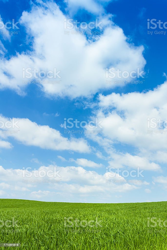 Detail Background Langit Dan Rumput Nomer 52