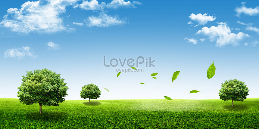 Detail Background Langit Dan Rumput Nomer 53
