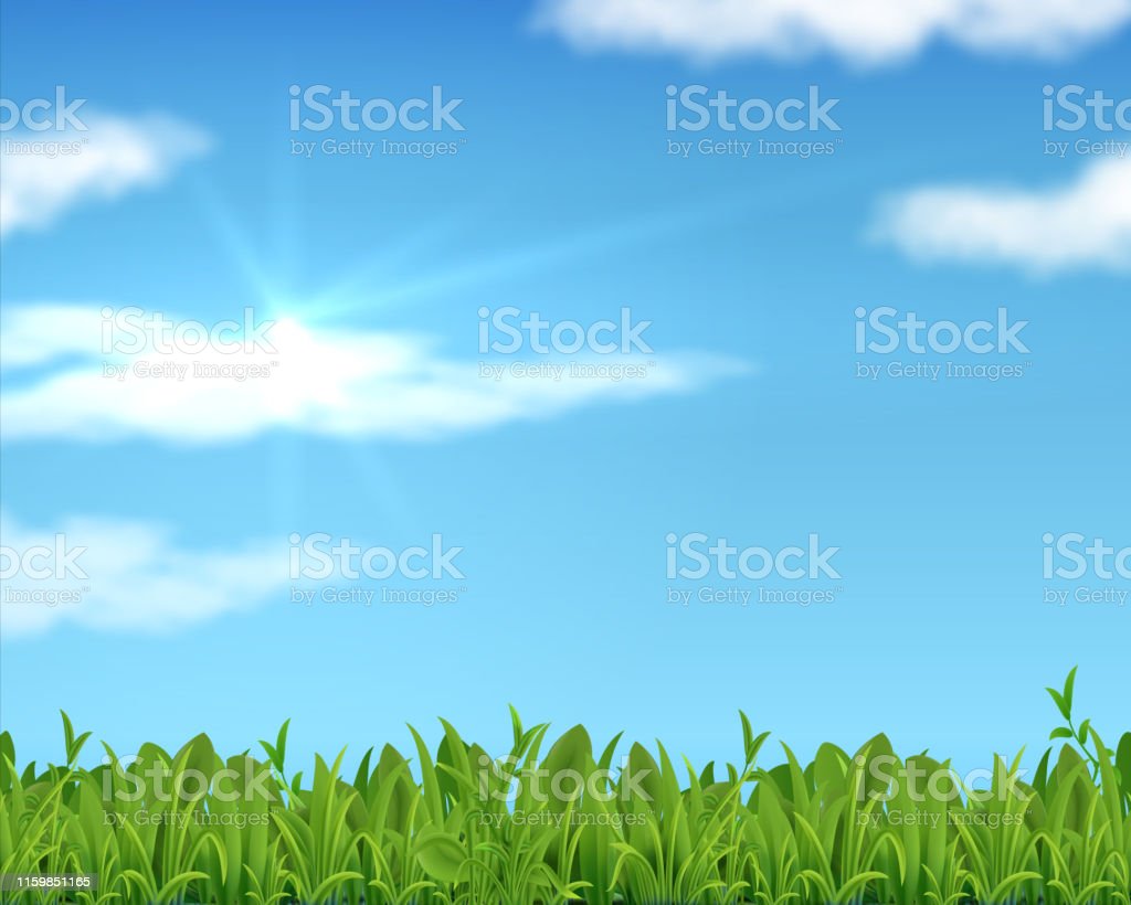 Detail Background Langit Dan Rumput Nomer 55